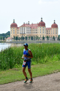 Björn vor dem Schloss in Moritzburg